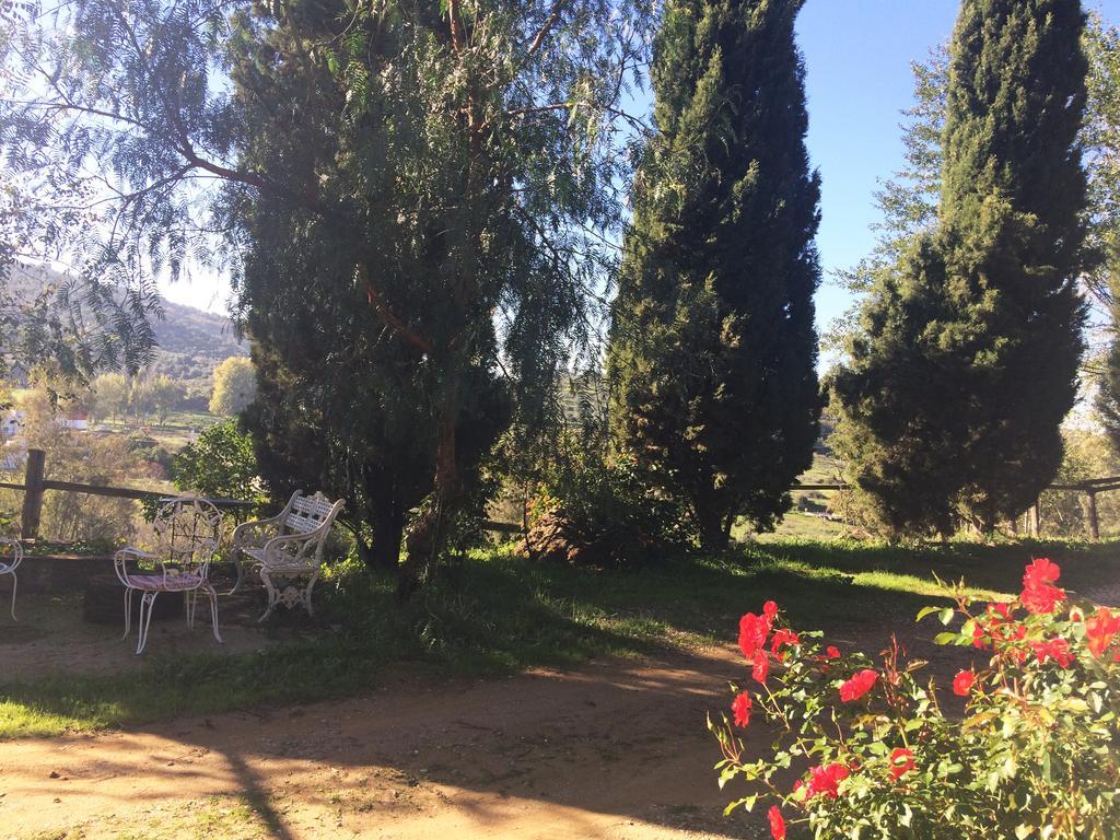 Cortijo El Berrocal Pensionat Cazalla de la Sierra Eksteriør billede